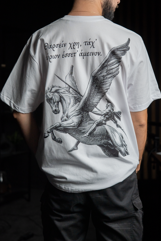 War of Pegasus OVERSIZE T-SHIRT
