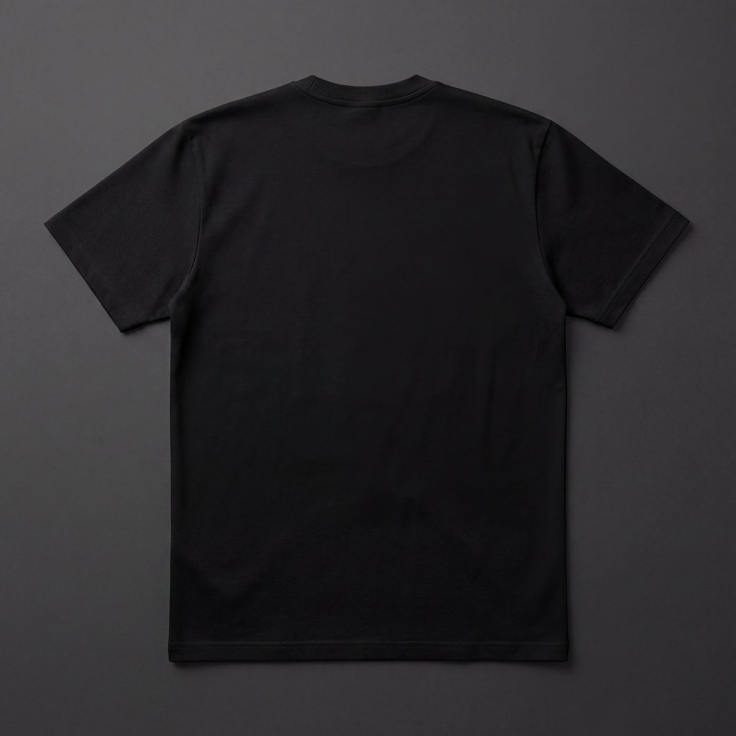 SWORDS OF FAITH T-SHIRT REGULAR FIT IN BLACK